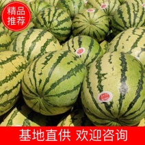 【金城五号】硒砂瓜，糖度13°，质优价廉，全国代发！