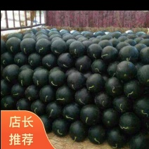 【黑皮无籽】头茬供应，10斤起步，质优价廉，产地直供