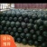 【黑皮无籽】头茬供应，10斤起步，质优价廉，产地直供