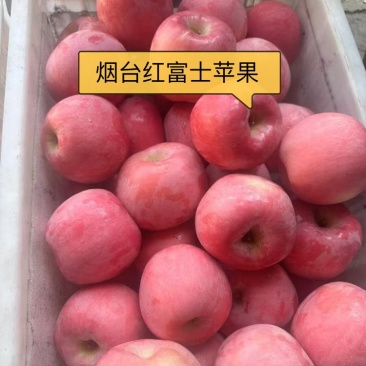 烟台苹果红富士代收代发