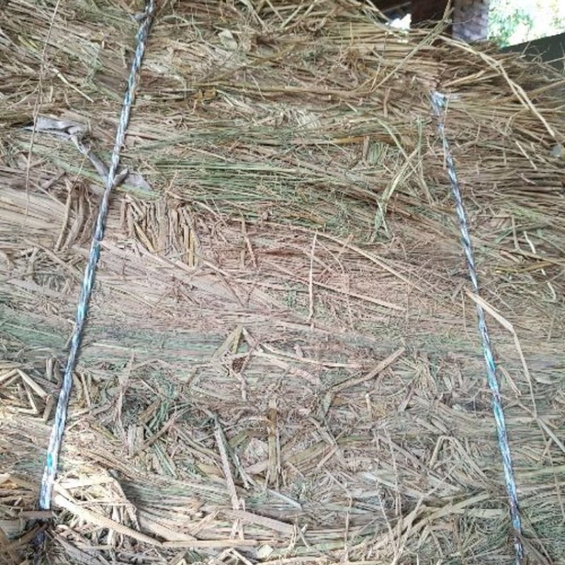 稻草60~80公分/一手货源/产地直发/保质保量