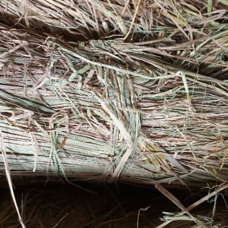 稻草60~80公分/一手货源/产地直发/保质保量