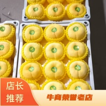 黄金黄大量上市，口感好，甜度大，乃储存欢迎全国各地朋友来