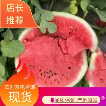 特小凤西瓜精品货源基地直发价格美丽
