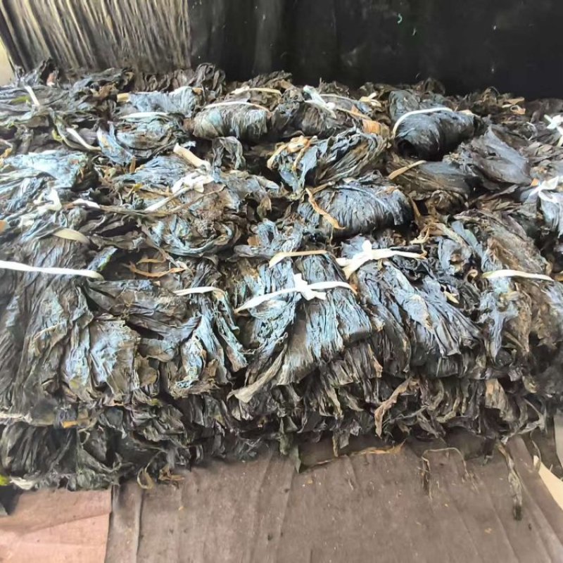 干海带产地直销质量保证价优欢迎各大老板前来采购咨询