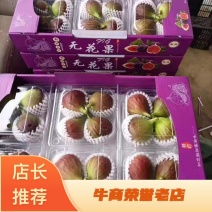 无花果零售批发全国发货量大从优全年有货随时联系我