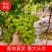 青提陕西青提皮薄多汁现摘现发供应全国市场电商