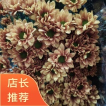 吉星一手货源，品质保证，可对接各大电商等，诚信经营