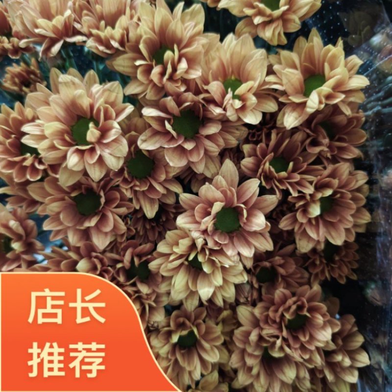 吉星一手货源，品质保证，可对接各大电商等，诚信经营