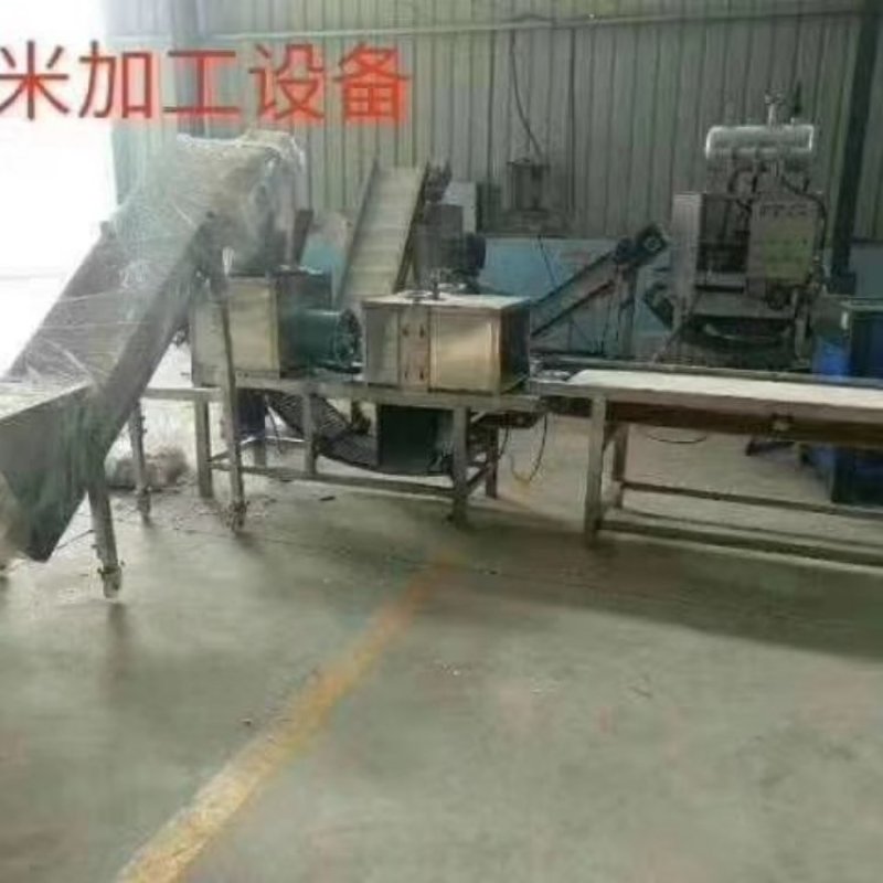 玛丽亚200公斤蒜米去皮机去皮机质量好价格优欢迎来电
