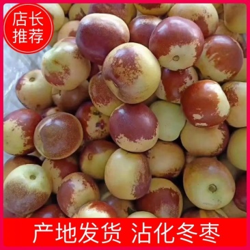 【脆甜多汁】沾化冬枣产地直供颗颗精选欢迎来电咨询