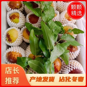 【电商直供】二代冬枣短枝冬枣皮薄肉厚脆甜多汁支持代发