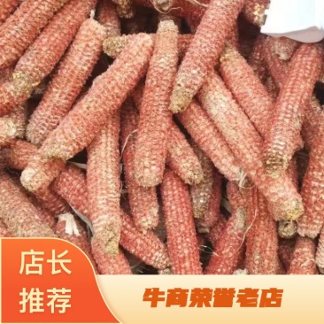 优质食用菌玉米芯货量充足质量保证欢迎咨询选购！！！