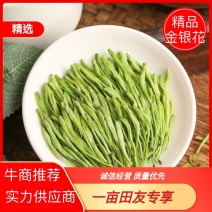 银花金银花规格齐全一手货源质量保障欢迎来电咨询