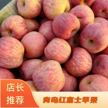 青岛平度红富士苹果大量上市口感脆甜对接市场商超量大价优！