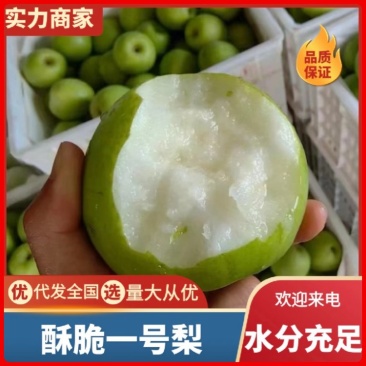 【新鲜直达】砀山酥脆一号梨严格筛选品质保障可视频看货