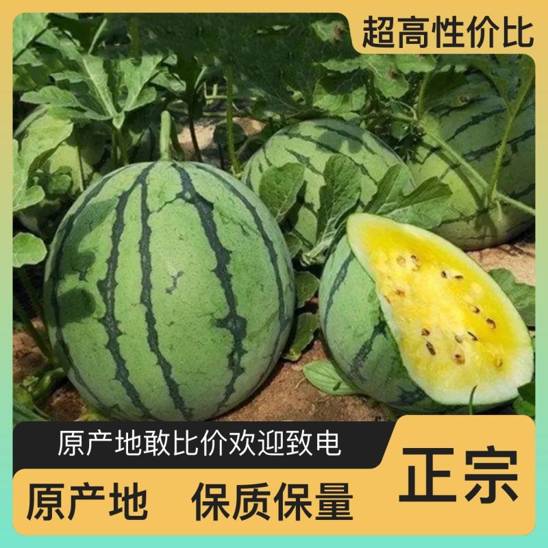 西瓜全网优质货源正品保障