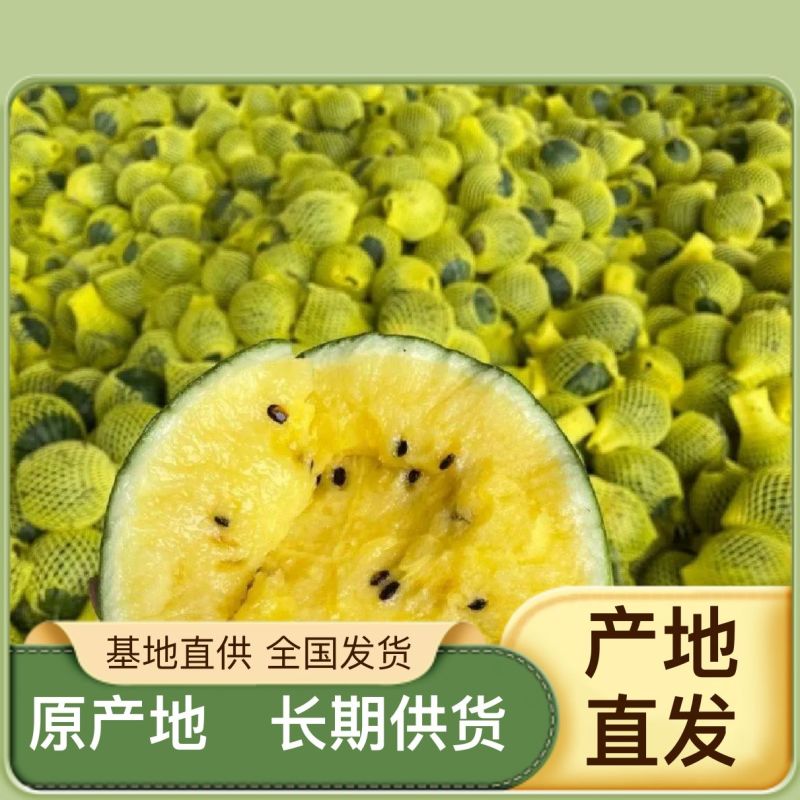 精品西瓜一手货源量大优惠
