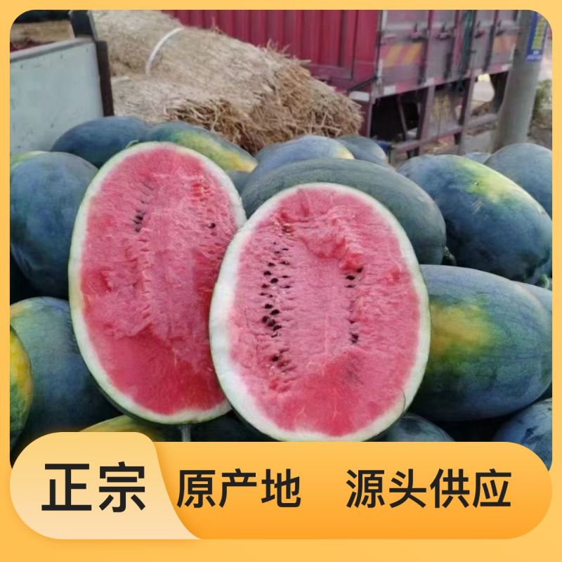 精品西瓜下单秒发