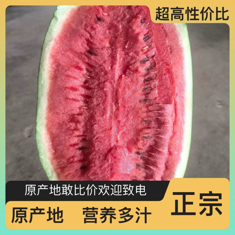 东北田王西瓜