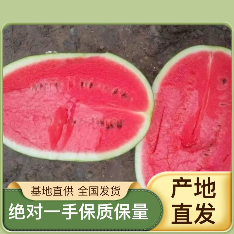 推荐，陕西渭南，甜王西瓜，西瓜应季长期供货量大优惠