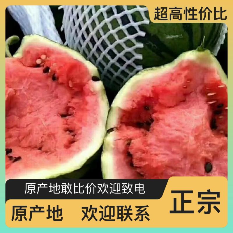 正品保障西瓜随时可聊