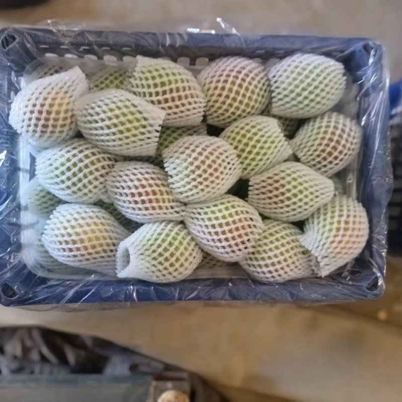 【热卖】新梨七号产地直销量大质优价格优惠欢迎咨询采购