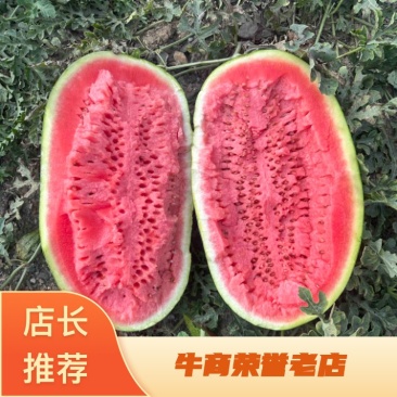 宁夏精品硒砂瓜,货源充足,产地直发,价格便宜。