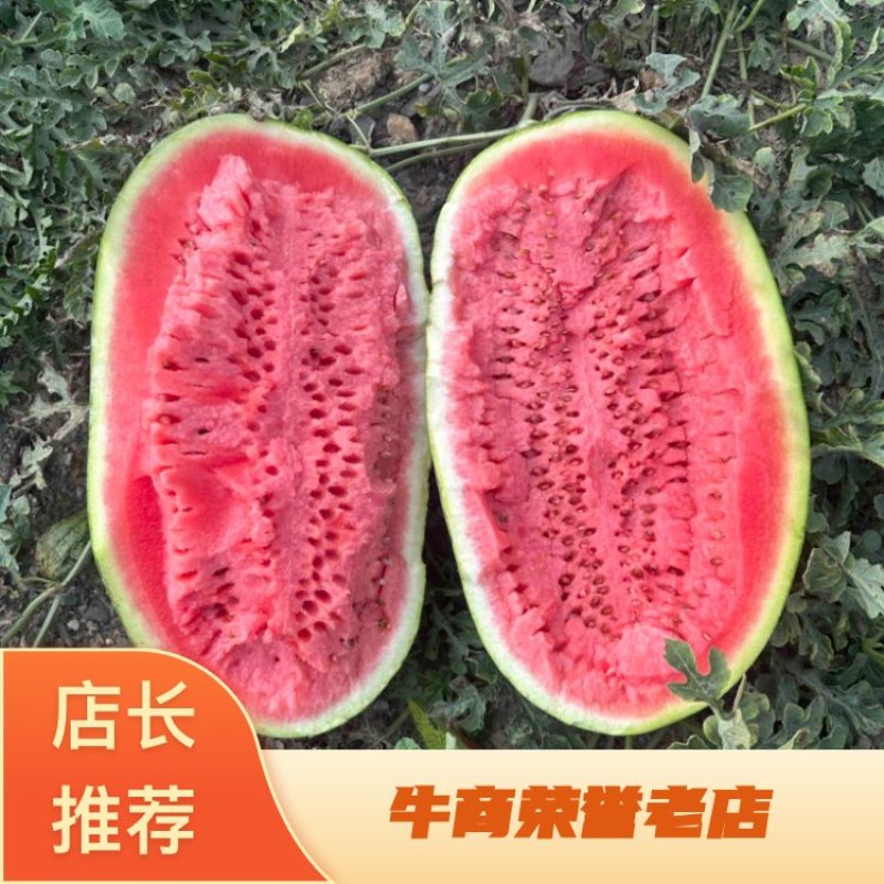 宁夏精品硒砂瓜，货源充足，产地直发，价格便宜。