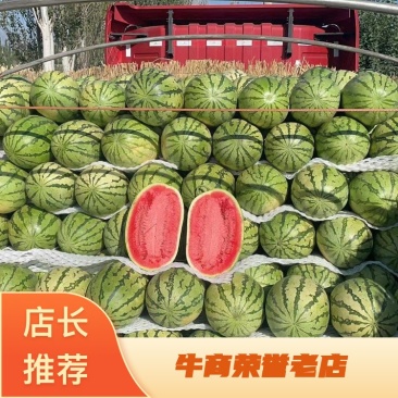 宁夏精品石头瓜