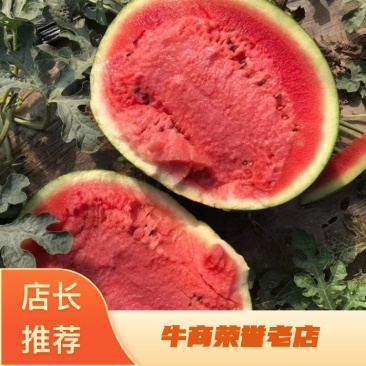 辽宁新民甜王西瓜包熟包甜,皮薄多汁,量大从优,欢迎订购