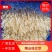 贵阳绿豆芽大量现货厂家直发量大从优欢迎订购