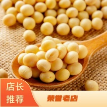 黄豆一手货源质量保证产地直发诚信经营欢迎老板