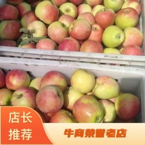 山东精品晨阳苹果，口感好，量大从优，欢迎咨询