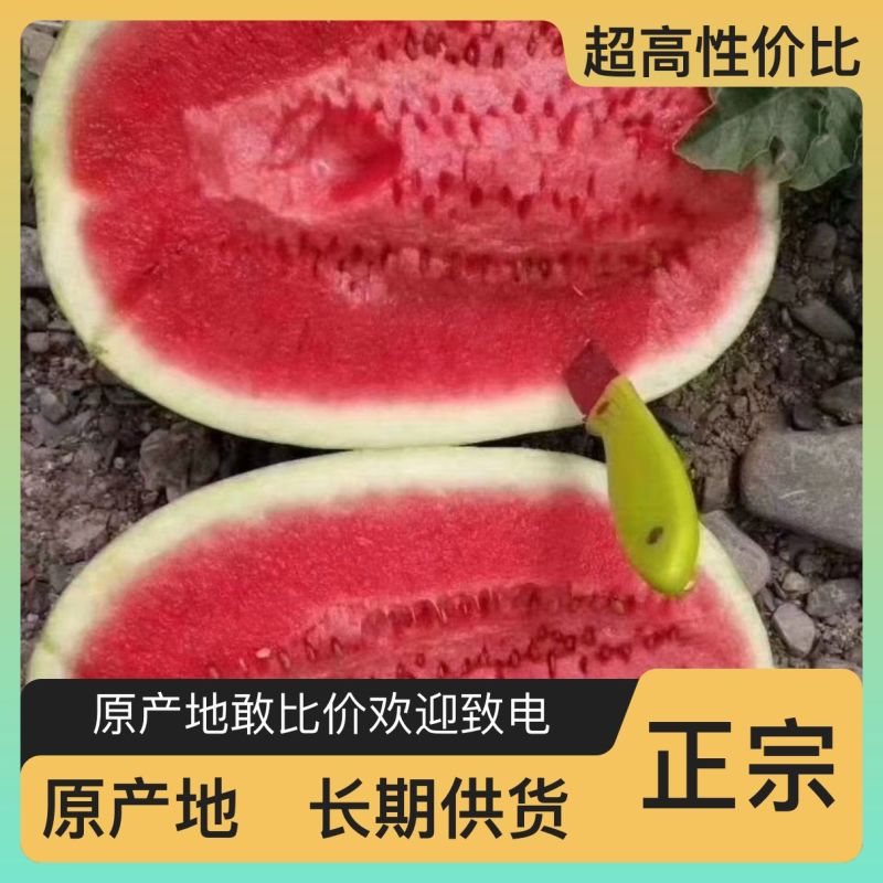 西瓜应季正品保障