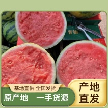 金城西瓜