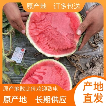 西瓜保质保量长期供应