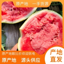 黑龙江西瓜代办