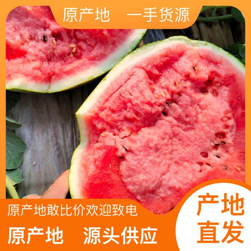 黑龙江西瓜代办