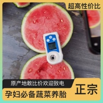甜度高品质好西瓜正宗保障