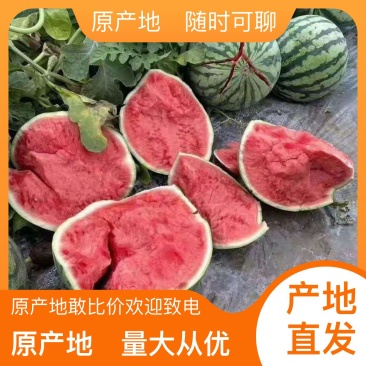 一手货源西瓜长期供应