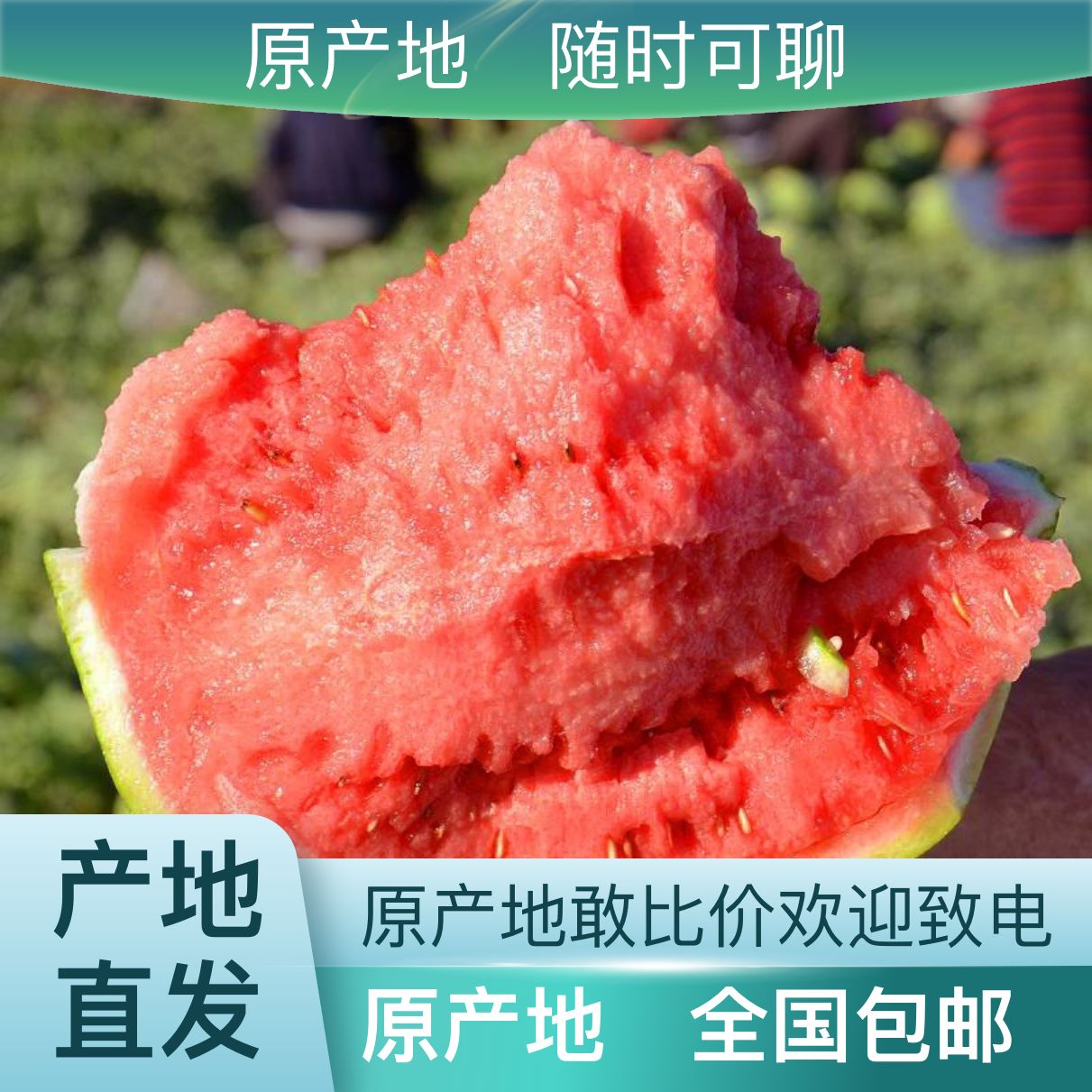 [美都西瓜批发]湖南怀化会同县西瓜 1.30元/斤全网优质货源西 _ 一亩田