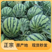 河南夏邑美都西瓜产地直供品质有保障价格美丽