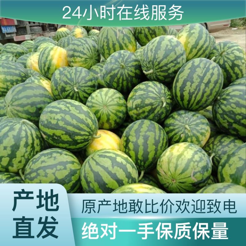 西瓜量大从优一件代发