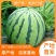 美都