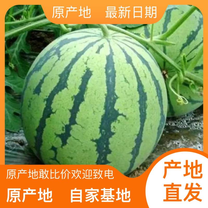 美都