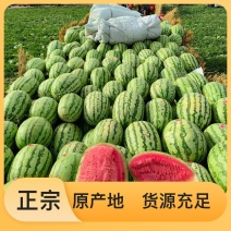 台农无籽西瓜