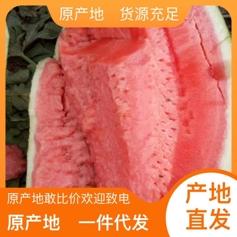 西瓜**日期量大从优电商供货