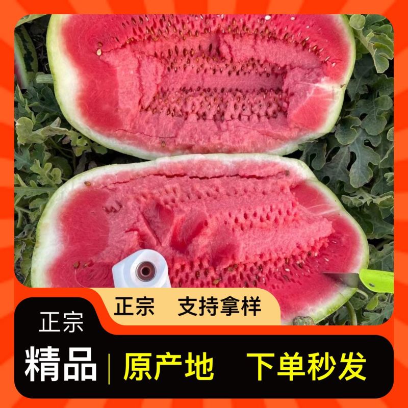 甜度高西瓜欢迎购买
