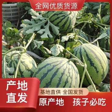 正品保障西瓜营养多汁